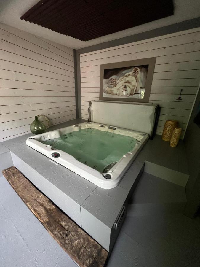 Les Chambres De Pauline Appartements Avec Climatisation Et Spa 阿尔贝维尔 外观 照片